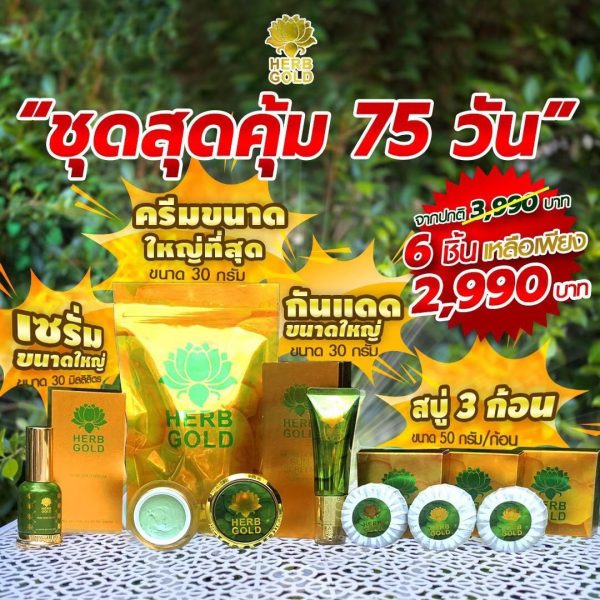 ชุดสุดคุ้ม 75 วัน